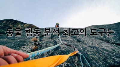 동물 행동 분석: 최고의 도구는?