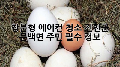 🌬️ 창문형 에어컨 청소, 진천군 문백면 주민 필수 정보! ✨
